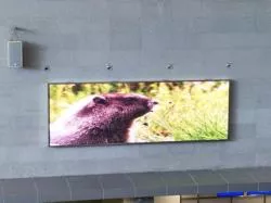 碼頭- P.4mm  outdoor/Indoor  LED Wall